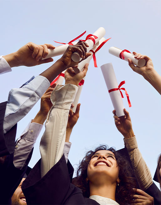 Higher Education/Colleges