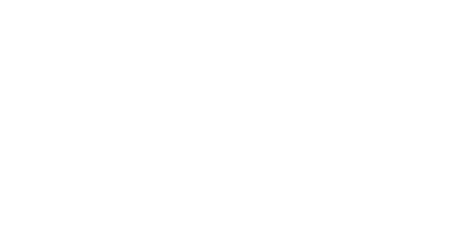 Netsuite Partner Alliance